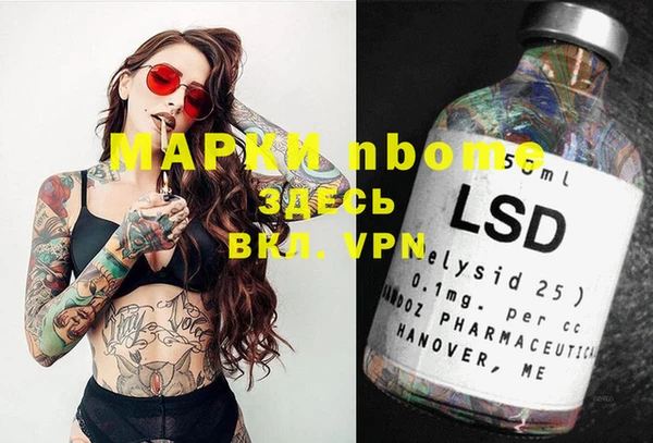 ПСИЛОЦИБИНОВЫЕ ГРИБЫ Няндома
