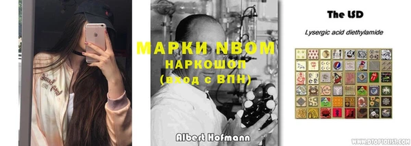 ПСИЛОЦИБИНОВЫЕ ГРИБЫ Няндома