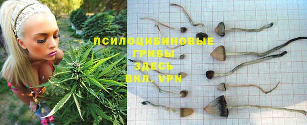 героин Нягань