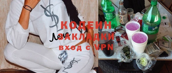 ПСИЛОЦИБИНОВЫЕ ГРИБЫ Няндома